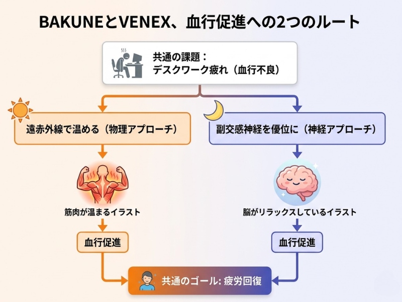 BAKUNEは遠赤外線で体を温めて血行を促し、VENEXはリラックス効果で血行を促すという、異なるアプローチを示す図解